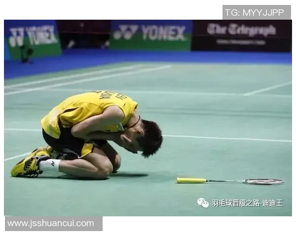 南京羽毛球队挑战赛个人能力分析与表现评估