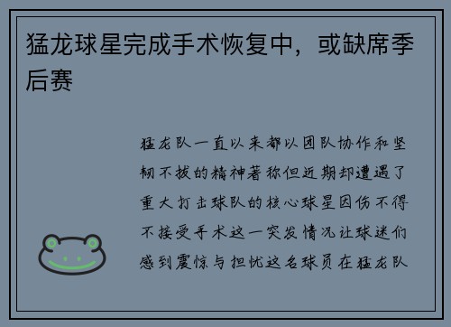 猛龙球星完成手术恢复中，或缺席季后赛